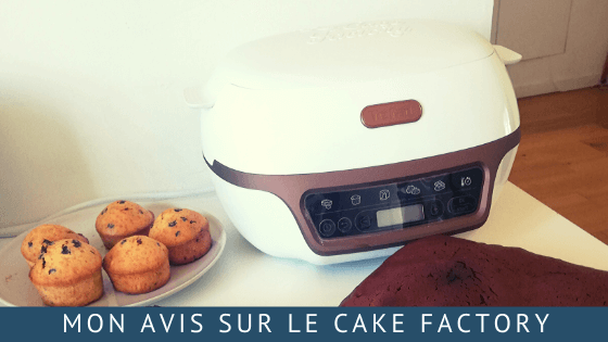 Mon Avis Sur Le Cake Factory Tefal Appareil A Gateau