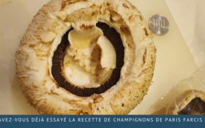Avez-vous déjà essayé la recette de champignons de Paris farcis ?